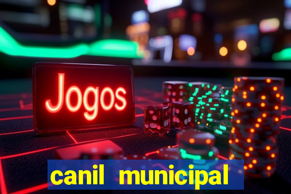 canil municipal porto alegre